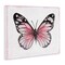 Stupell Industries Pink Monarch Butterfly Canvas By Janet Tava
